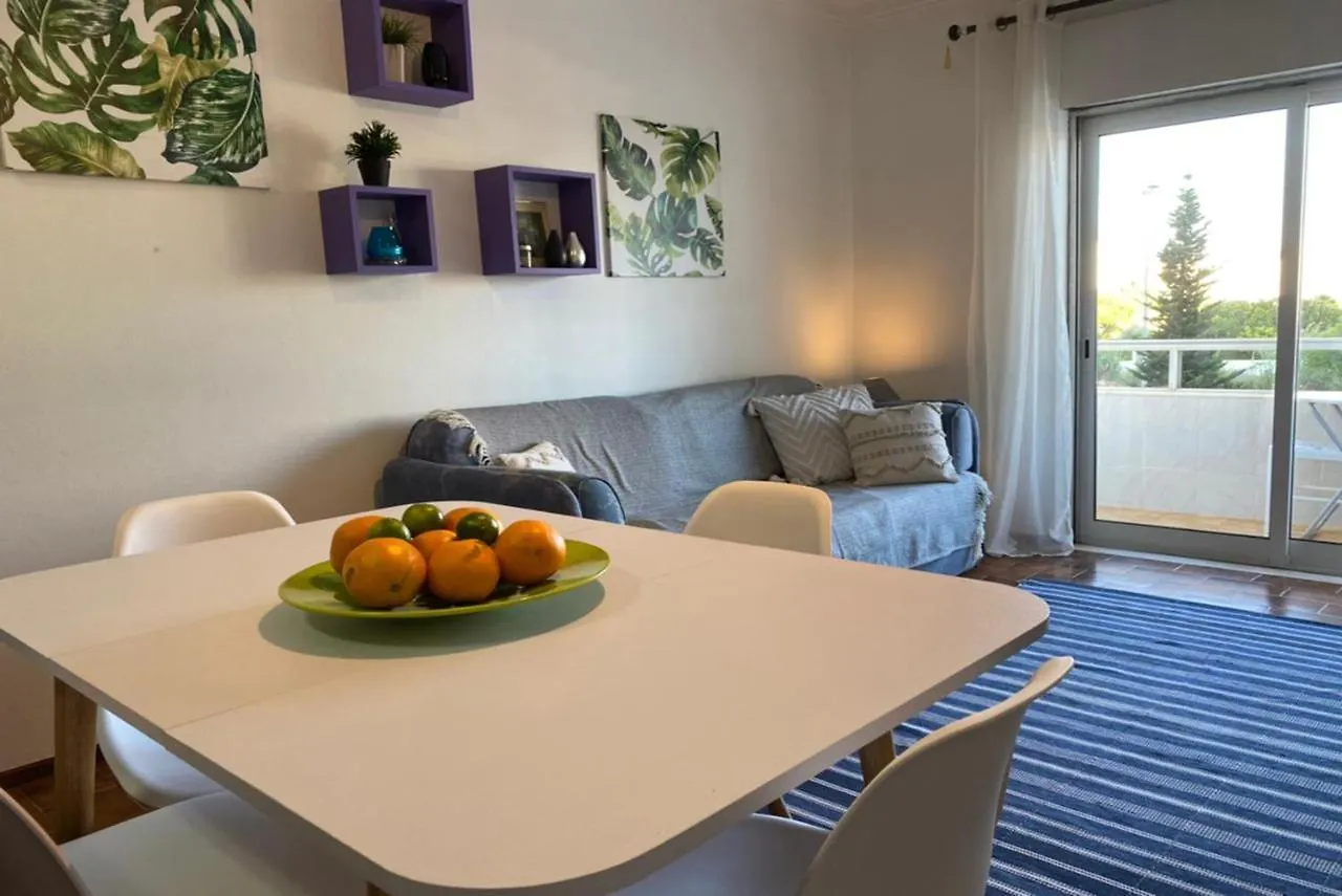 פורטימאו A49 - Rocha Avenue Apartment 0*,